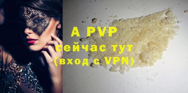 шишки Верея