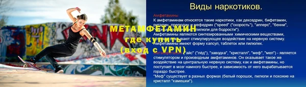 индика Богданович