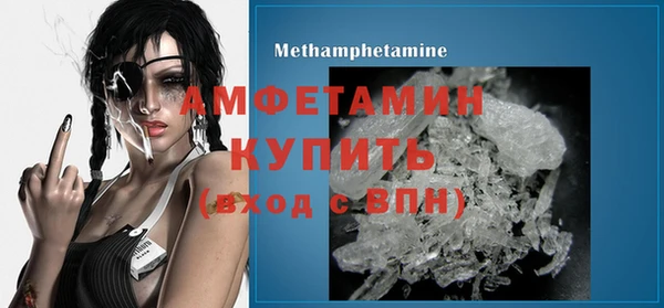 индика Богданович