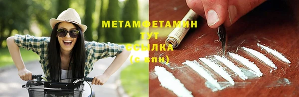 индика Богданович