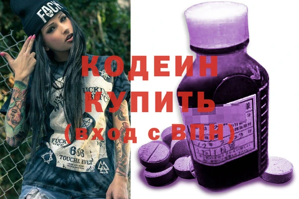 индика Богданович