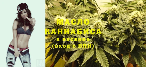 мдпв Богородицк