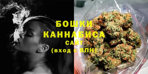 индика Богданович