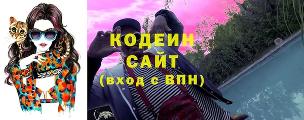 мдпв Богородицк