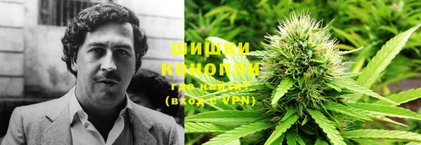 мдпв Богородицк