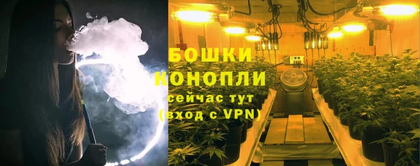 мдпв Богородицк