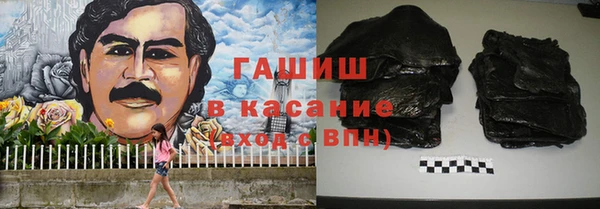 шишки Верея