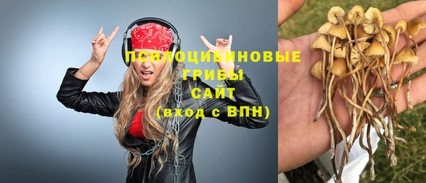 молекула духа Верхний Тагил