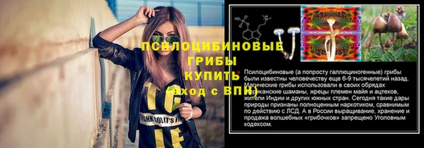 молекула духа Верхний Тагил