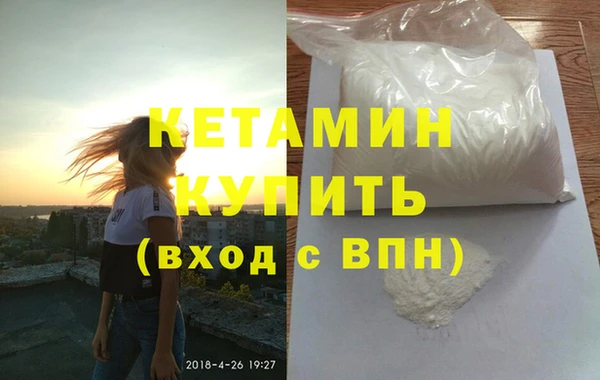 шишки Верея